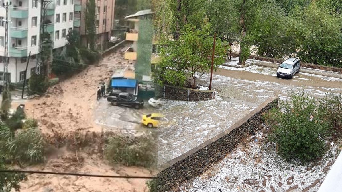 Artvin'de sağanak: Derelere taştı, heyelan meydana geldi