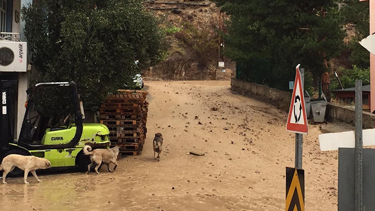 Karadeniz'e şiddetli sağanak uyarısı: Artvin ve Rize için sarı alarm verildi