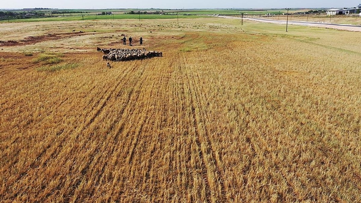 Gıda krizi kapıda: Milyonlarca insan açlıkla karşı karşıya kalabilir