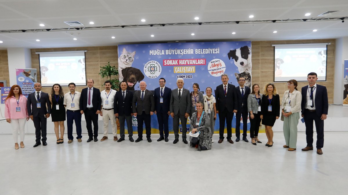 Sokak Hayvanları Çalıştayı’nın Sonuç Bildirgesi Yayınlandı