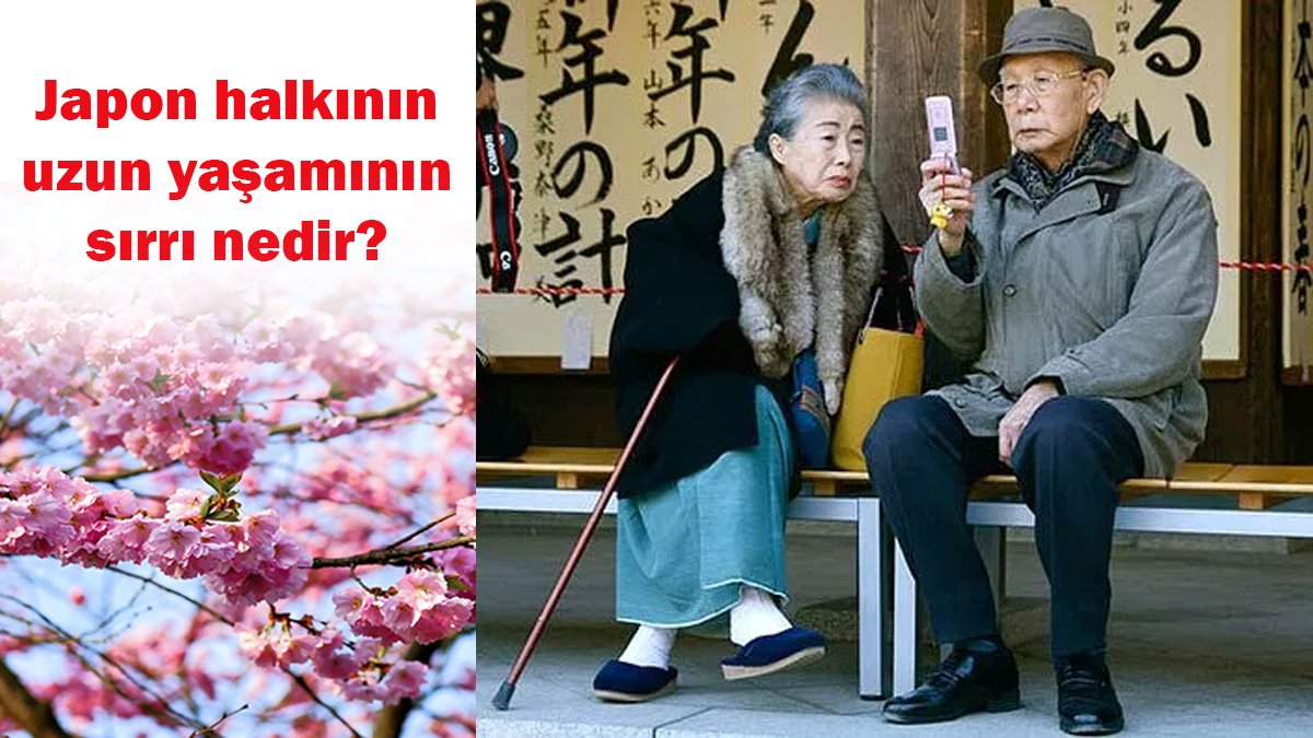 Japonların uzun yaşam sırları! Neden bu kadar uzun yaşıyorlar duyunca şok olacaksınız
