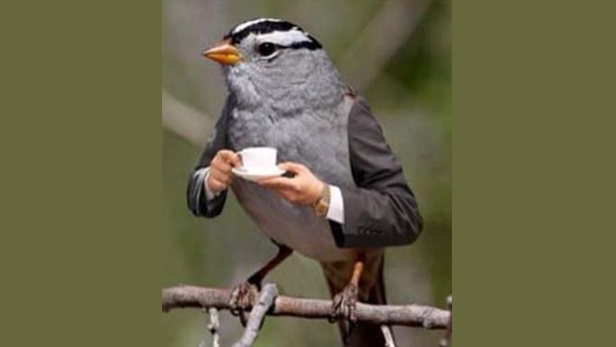 Sıra dışı test: Ne kadar bilge olduğunu öğren! İlk ne görüyorsun?