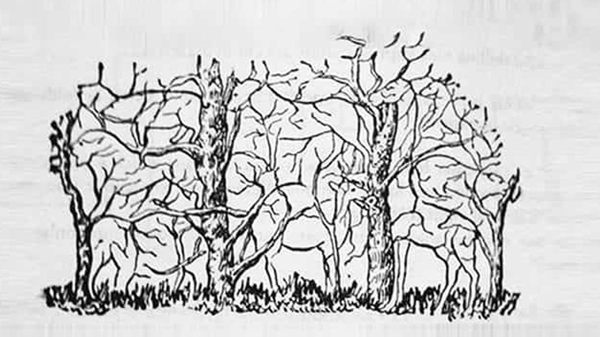 Kişiliğinizi ortaya koyan test: Fotoğrafta ilk gördüğünüz hayvan kişiliğinizi ortaya koyuyor