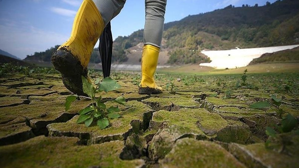 IFPRI raporundan korkutan açıklama:  2050’ye kadar milyonlarca kişi açlıkla yüz yüze olacak