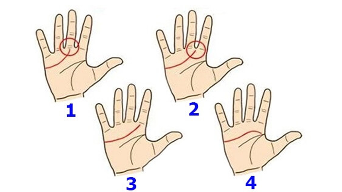 Avucunuzun içindeki kalp çizgisi hayatınız hakkında ne söylüyor?