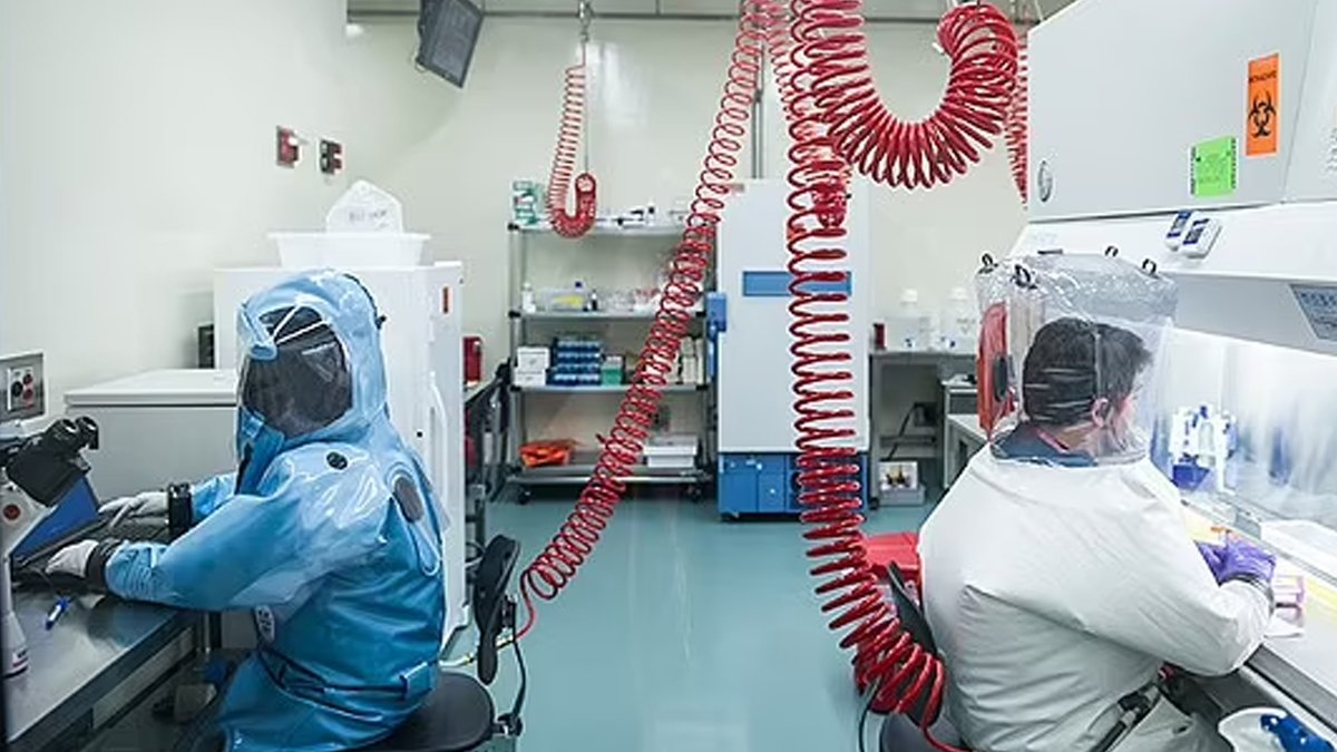 Ateşle oynuyorlar! İki koronavirüs çeşidini birleştirerek yeni varyant geliştirdiler