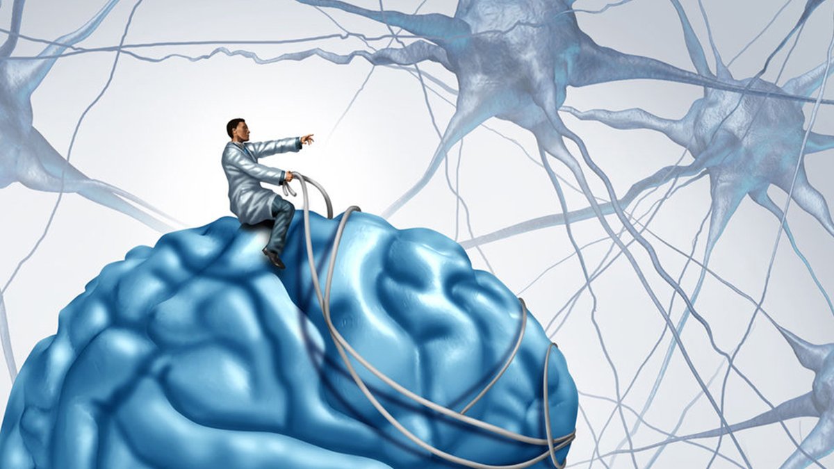 Kiminle savaştığına dikkat et! O burçları yıkmak demir gibi bir psikoloji istiyor... İşte yıkamayacağınız burçlar...