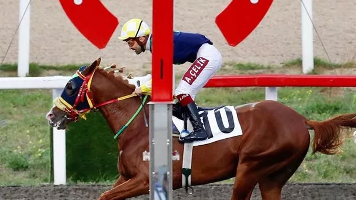 Ünlü oyuncunun atı koşuda birinci geldi! İşte Emre Karayel’in Kazandığı para...