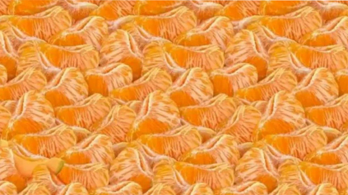 Viral optik illüzyon: Bu portakalların arasındaki saklı kavunu 20 saniyede bulabilir misiniz?