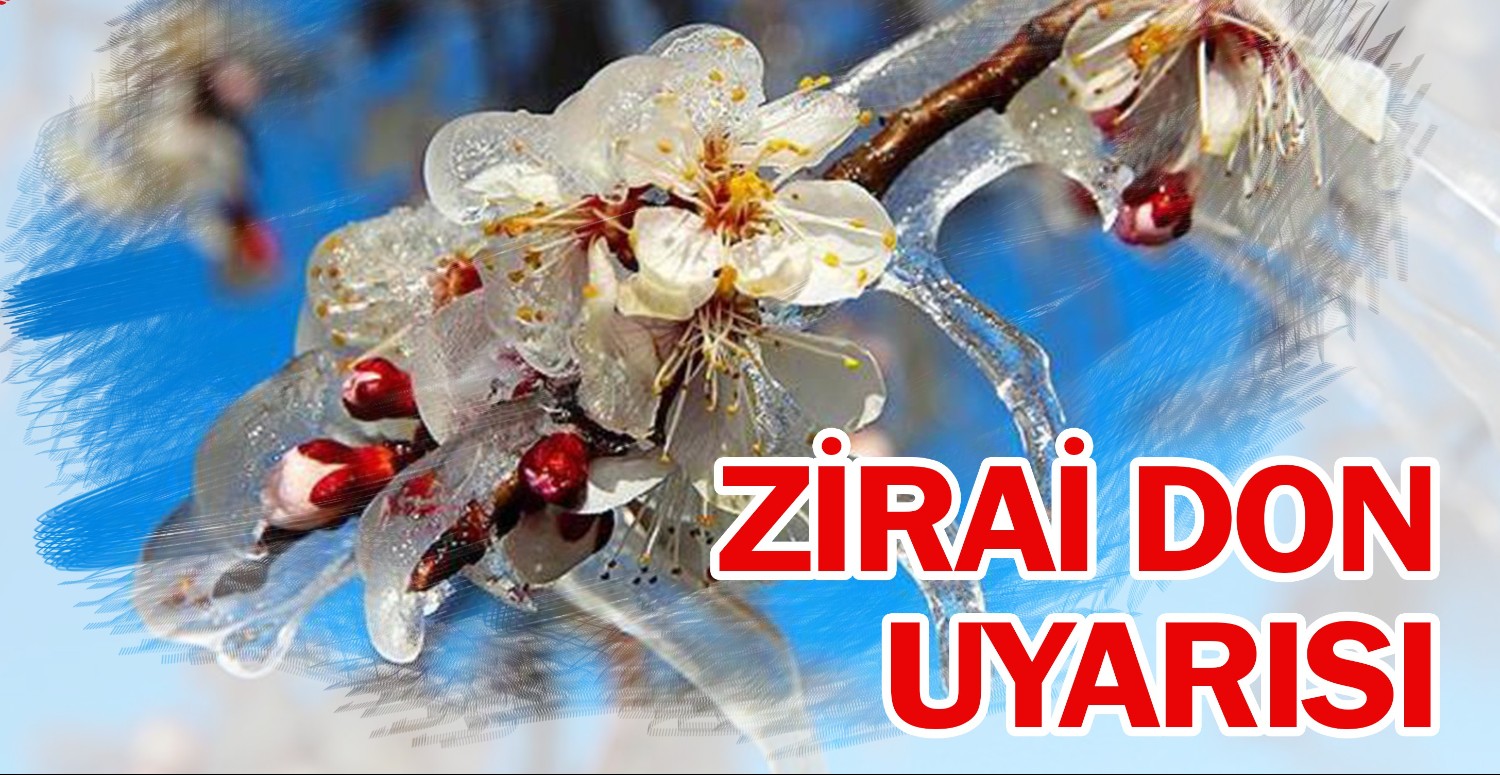 Zirai don ne demek? Zirai don kaç derecede olur? 