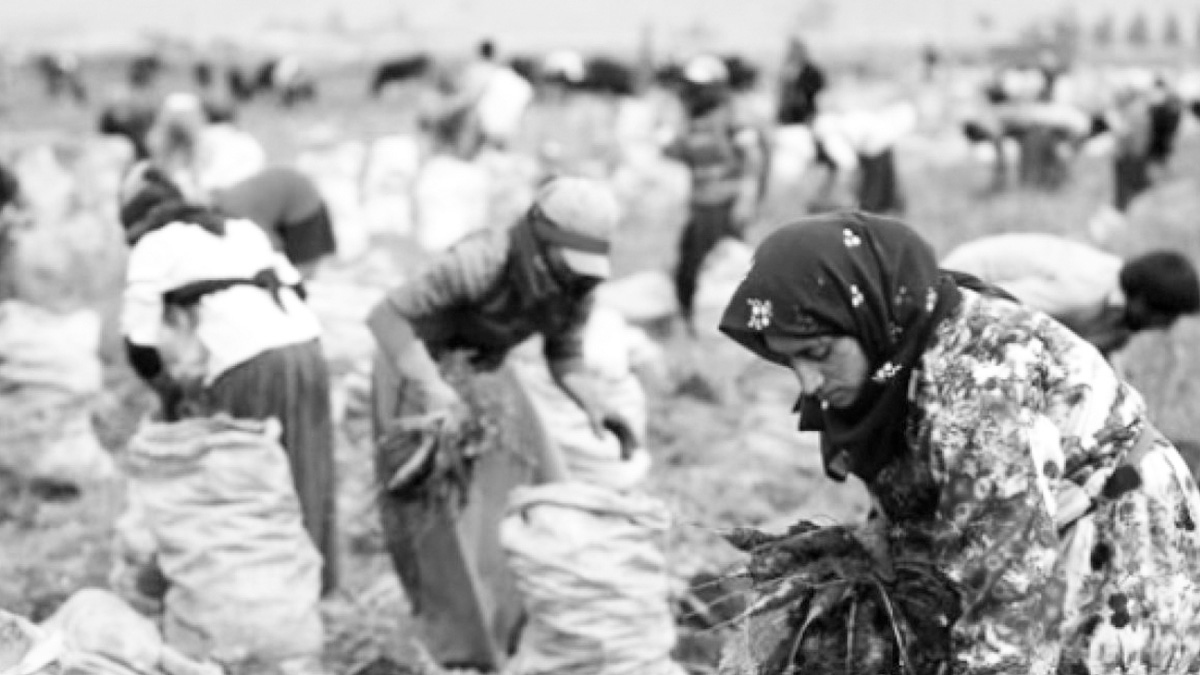 Her şeye para var tarıma yine yok