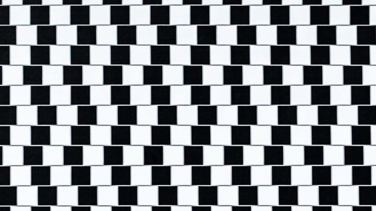 Aklınızı başınızdan alacak 4 mutlaka görülmesi gereken optik illüzyon