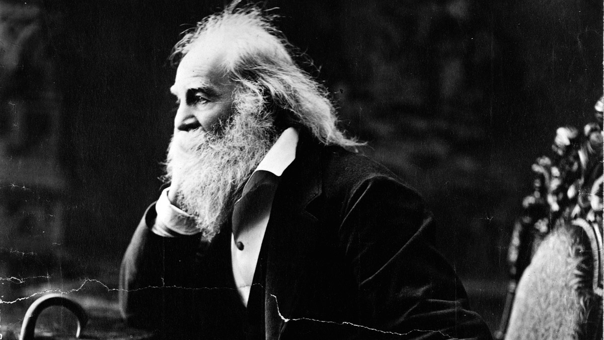 Walt Whitman darağacına karşı