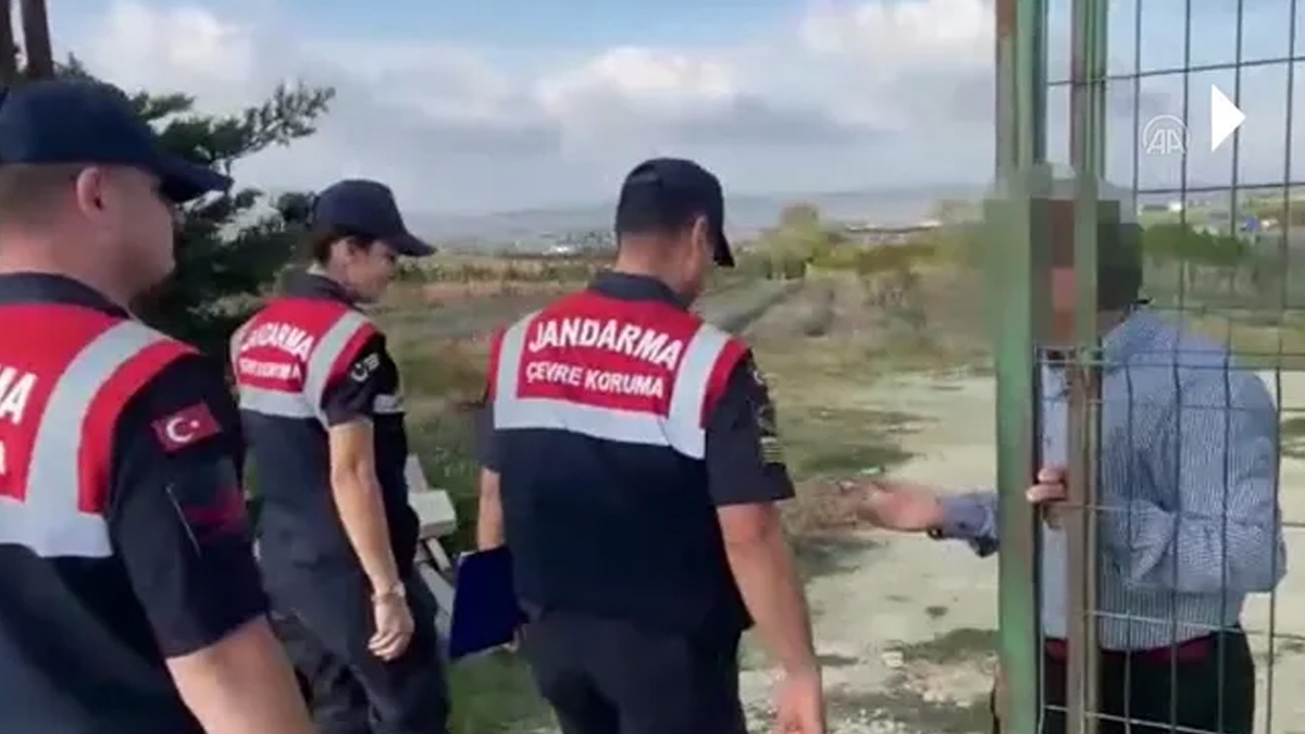 Çiftlikte yabani ceylan bulunduran şahsa  583 bin TL ceza