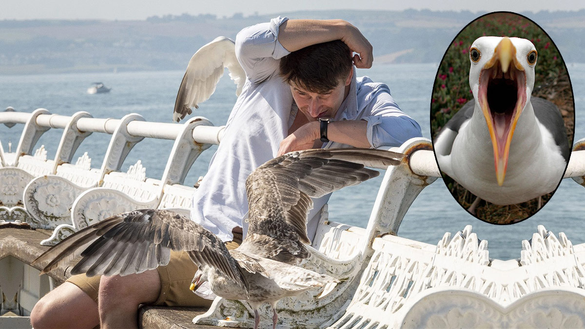 'Martının yediği kulak' davasında hapis kararı çıktı! Mahkeme, 7 yıl sonra karar verdi