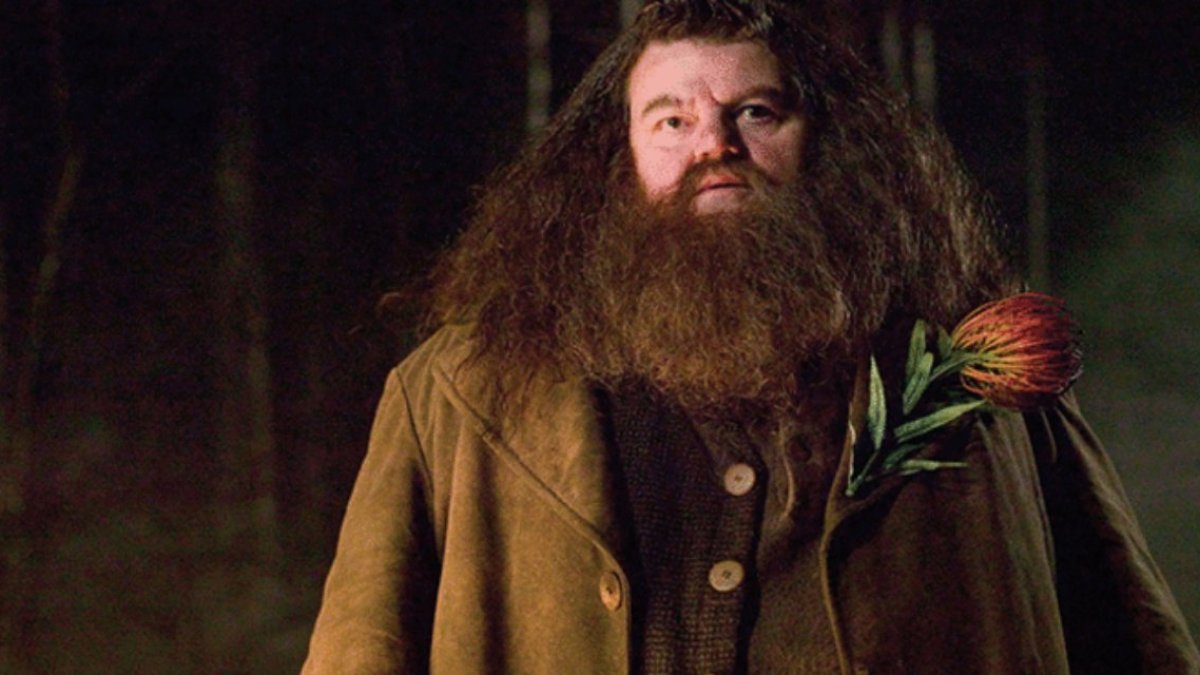 Harry Potter'ın Hagrid'i Coltrane'in ölüm nedeni belli oldu