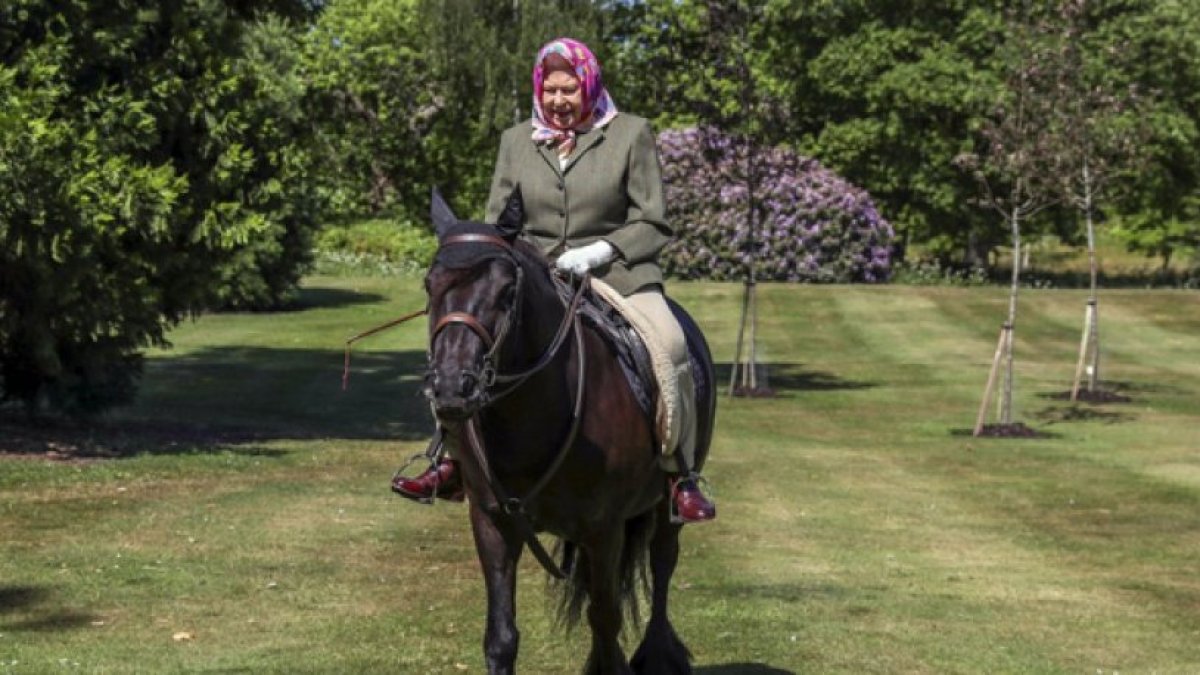 İngiltere Kralı 3. Charles, annesi Kraliçe 2. Elizabeth'in 14 atını satışa çıkardı