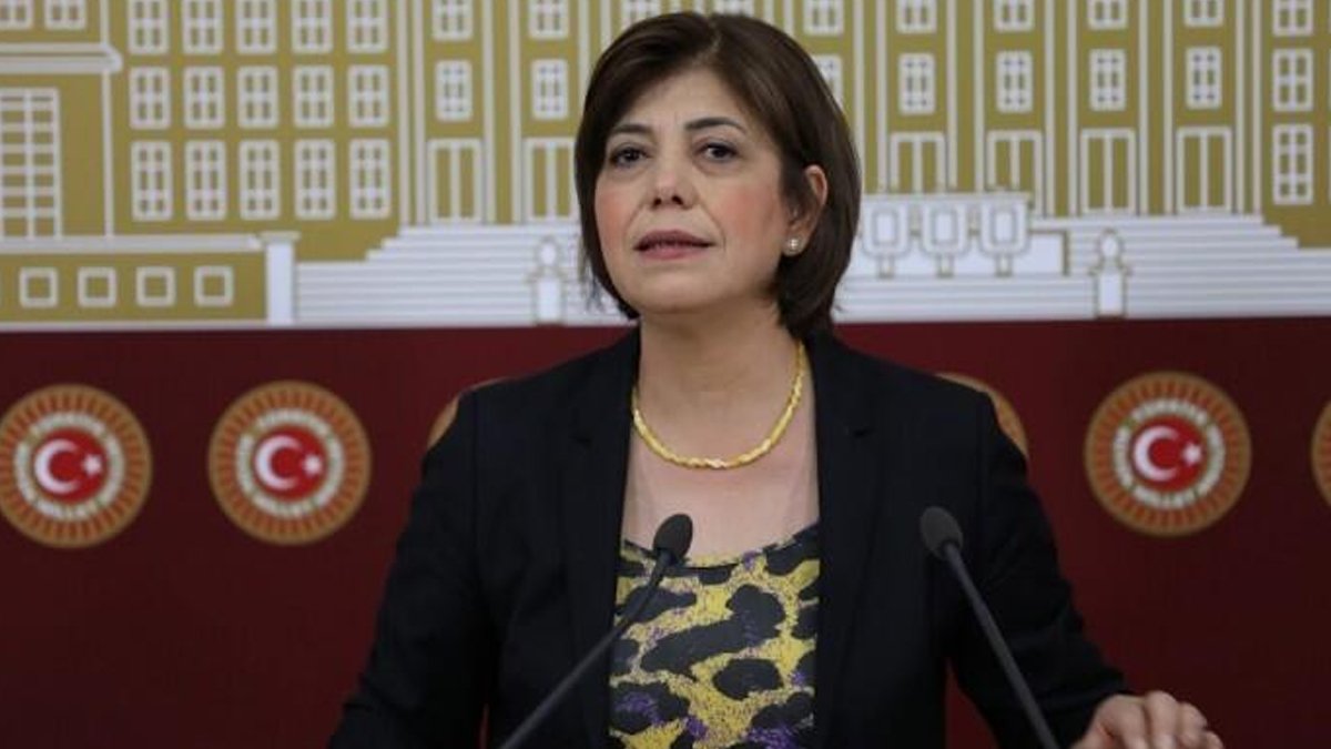 HDP'li Beştaş'tan Erdoğan'a 'Kürt değiller' yanıtı