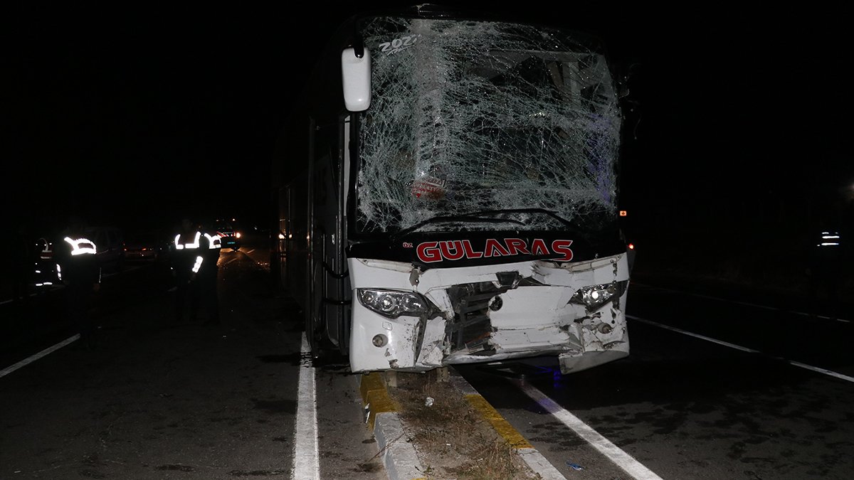 Sahipsiz at adeta faciaya yol açıyordu