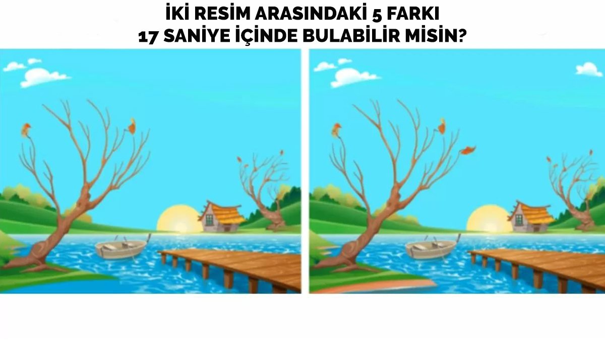 Gözlerinize olan güveninizi sarsacak bulmaca! İki resim arasındaki 5 farkı 17 saniye içinde bulabilir misin?