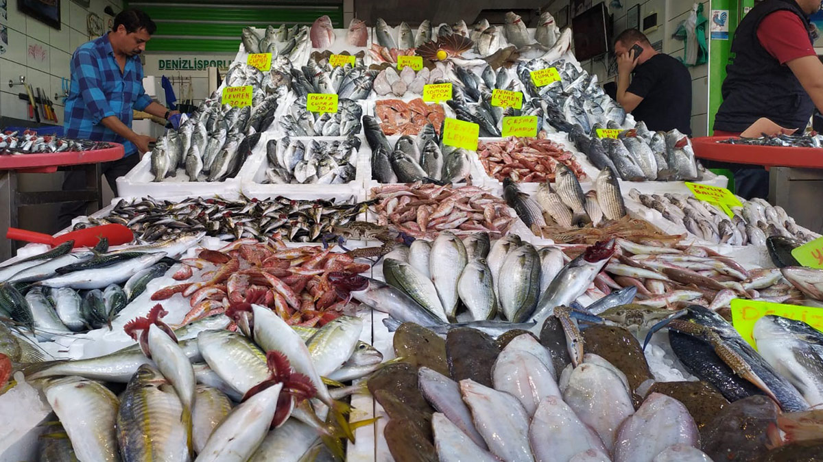 Vatandaşın balık alacak parası yok