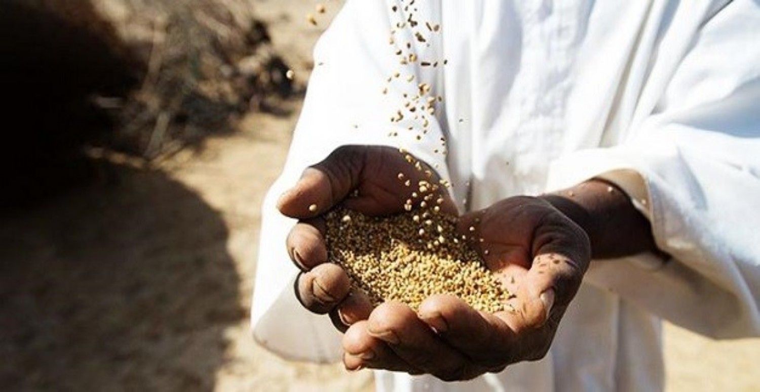 Nisap miktarı nedir, ne demektir? Nisap miktarı nasıl hesaplanır? 2022 altın ve buğday nisap miktarı