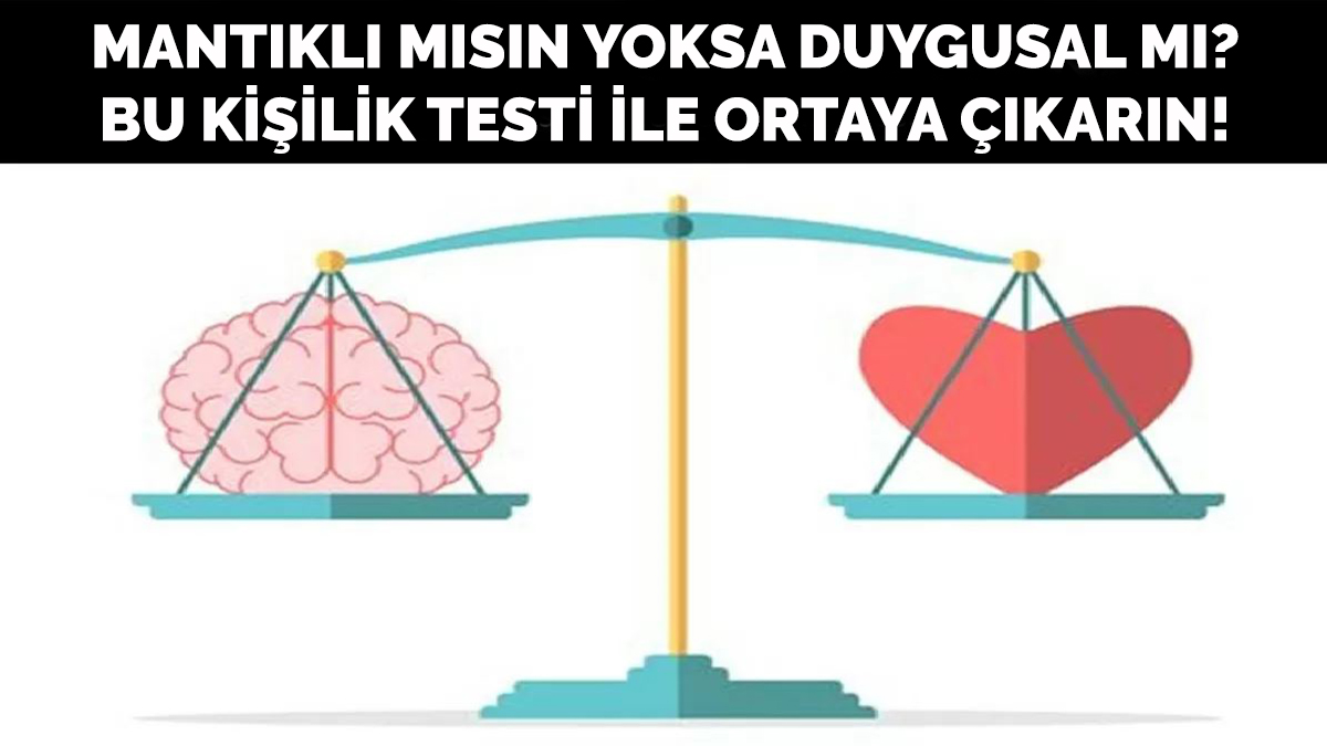 Mantıklı mısın yoksa duygusal mı? Nasıl biri olduğunuzu ortaya çıkaran kişilik testi!