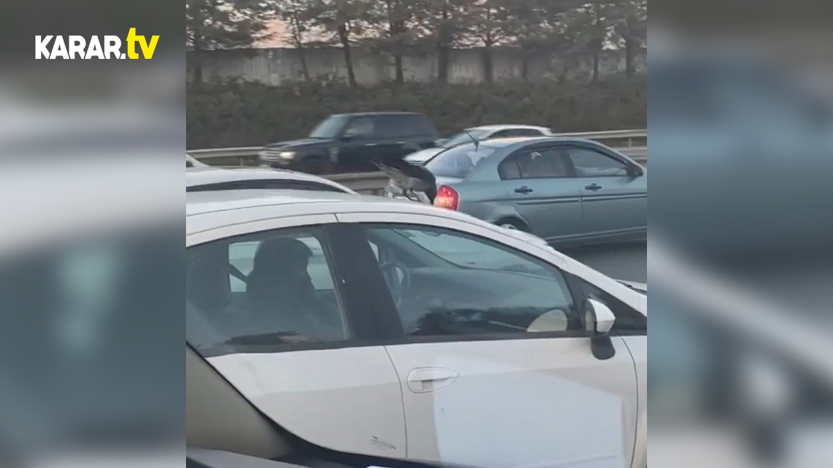 Sancaktepe'de otomobilin üzerinde seyahat eden karga yüzleri gülümsetti