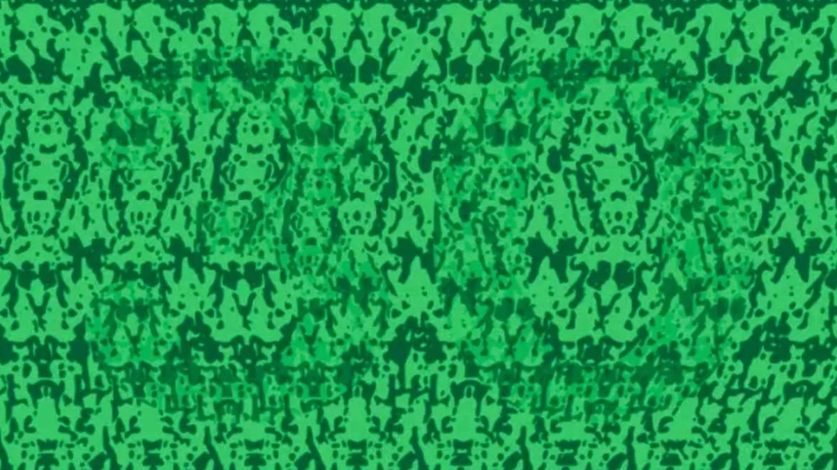 Zekanızı zorlayacak optik illüzyon: Her 10 kişiden sadece 2'si gizli numarayı 11 saniyede görebiliyor!