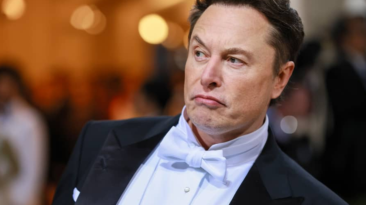 Kendisine 'vampirim' demişti: Musk, 140 milyarder arkadaşı ile Drakula'nın şatosunda