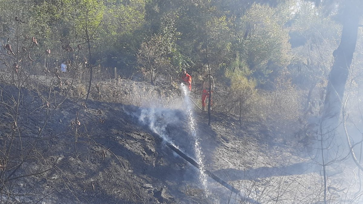 Osmaniye'de orman yangını: 50 dekarlık alan yandı