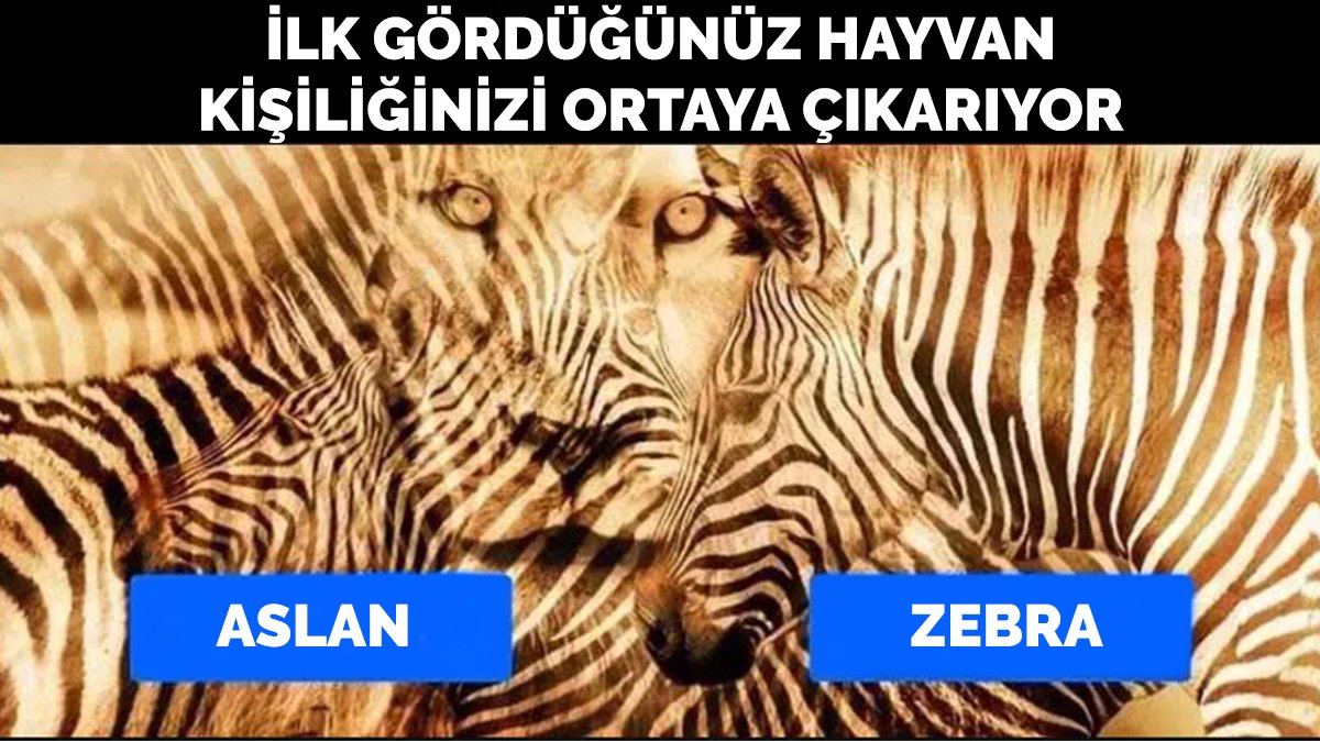 İlk gördüğünüz hayvan kişiliğinizi açığa çıkarıyor! Bu optik illüzyon testi ile gizli karakter özelliklerinizi öğrenin
