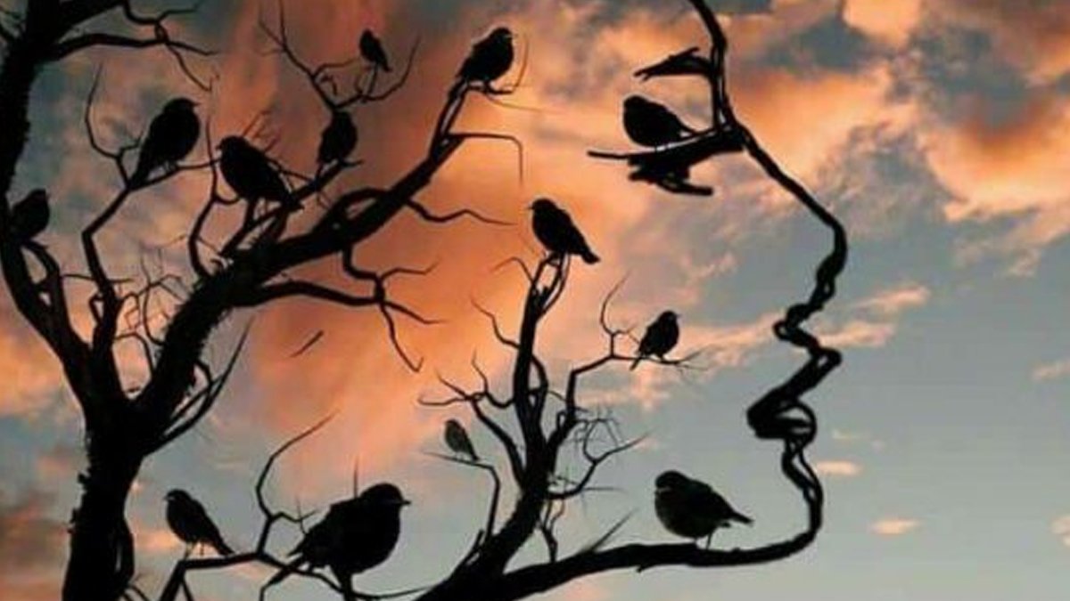 Gelmiş geçmiş en etkili psikoloji testi: Resimde ilk gördüğünüz şey ne?