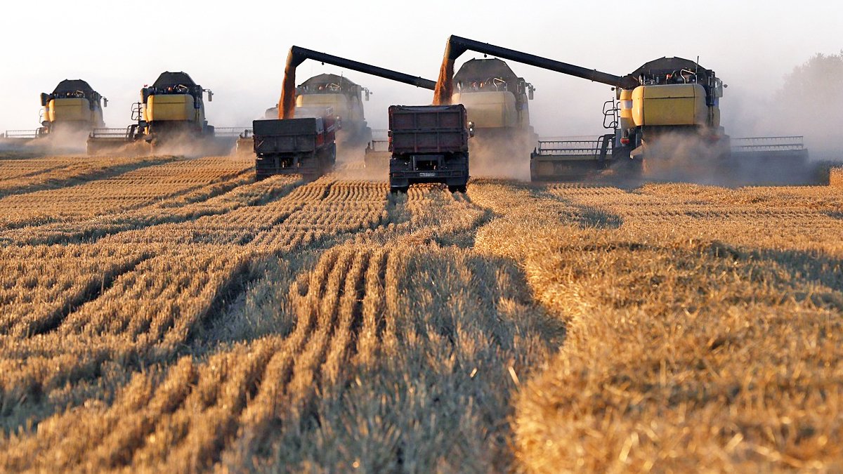 Kremlin'den tahıl anlaşması açıklaması: Ukrayna anlaşmaya zarar verdi