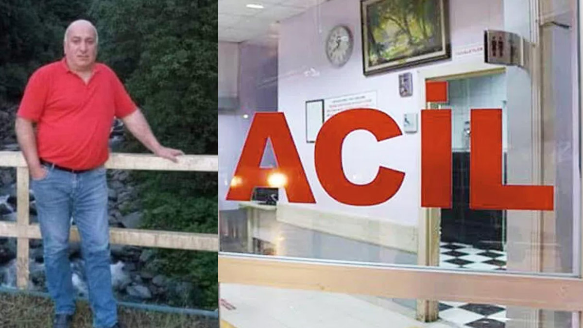 Ordu'da akılalmaz ölüm! Arkadaşının yuvarladığı ağaç başına çarpan adam hayatını kaybetti