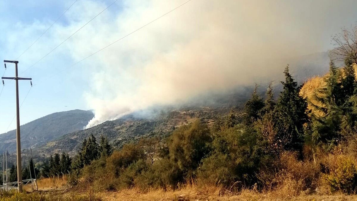 Aydın'da makilik yangını
