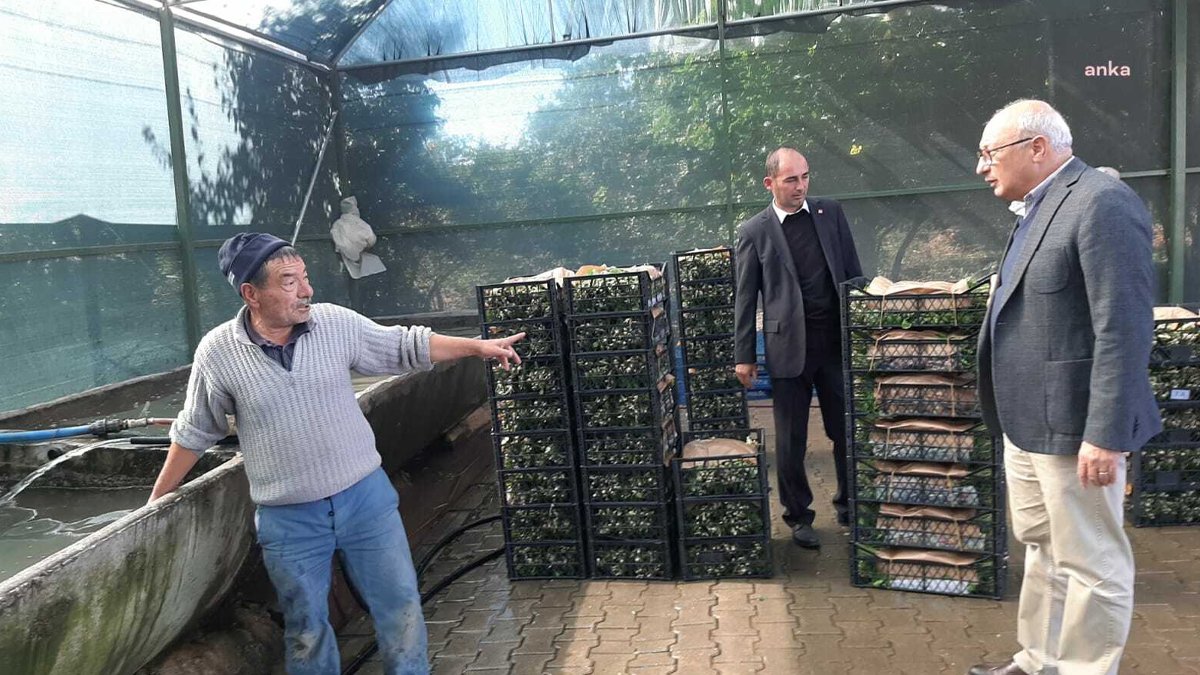 Üreticiden maliyet çıkışı: Hep mazota, gübreye çalışıyoruz