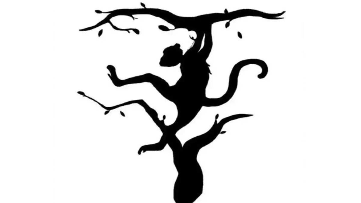 Bu optik illüzyonda ilk gördüğün hayvan kişilik özelliklerin hakkında gizli sırları açığa çıkarıyor!