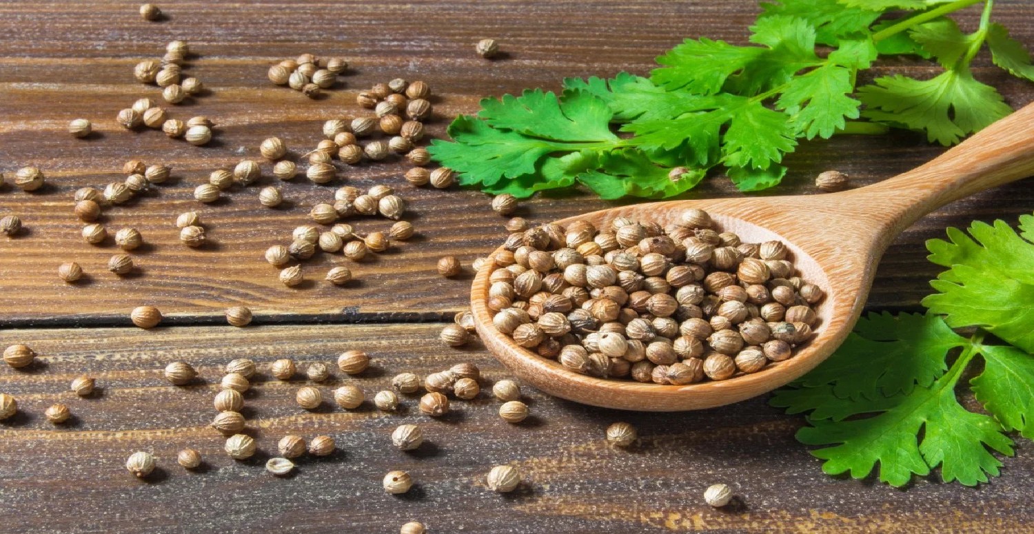 Yemeklere atınca lezzetini katılıyor, bir çok hastalığa şifa oluyor! İşte o mucize otun faydaları... Faydalarını öğrenen soluğu aktarlarda alıyor...