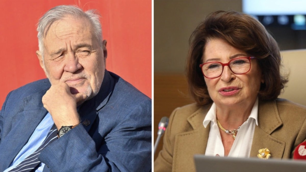 İlber Ortaylı isim vermeden Gülseren Budayıcıoğlu'nu eleştirdi: Millet hasta dosyalarıyla senaryo yazıyor