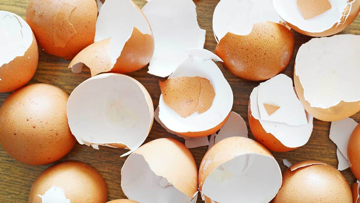 Yumurta kabuğunun zarının faydasını öğrenince asla çöpe atmayacaksınız! Her gün düzenli tüketin bir hafta sonra farkı görün