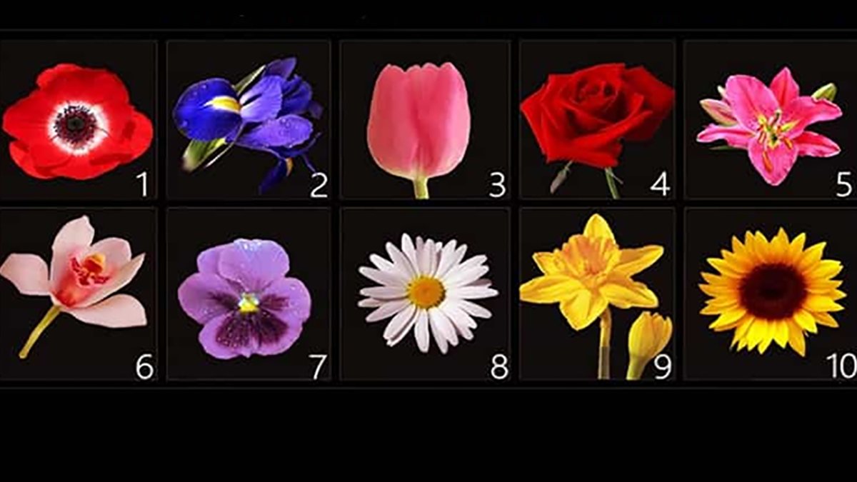 Seçtiğin çiçek kişiliğini ortaya çıkarıyor! İşte gerçek karakter testi