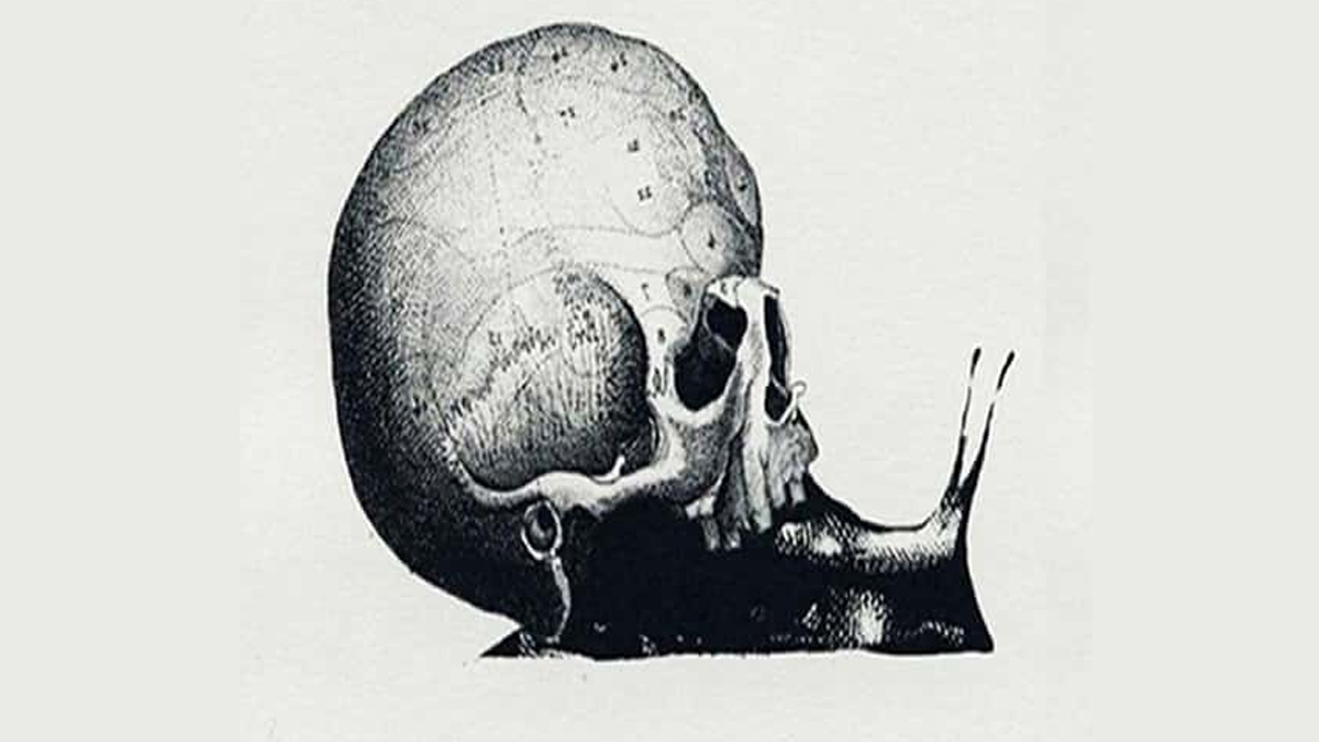 Bilinen en eski psikolojik test: Resimde ilk gödüğünüz şey karakterinizi ortaya koyuyor