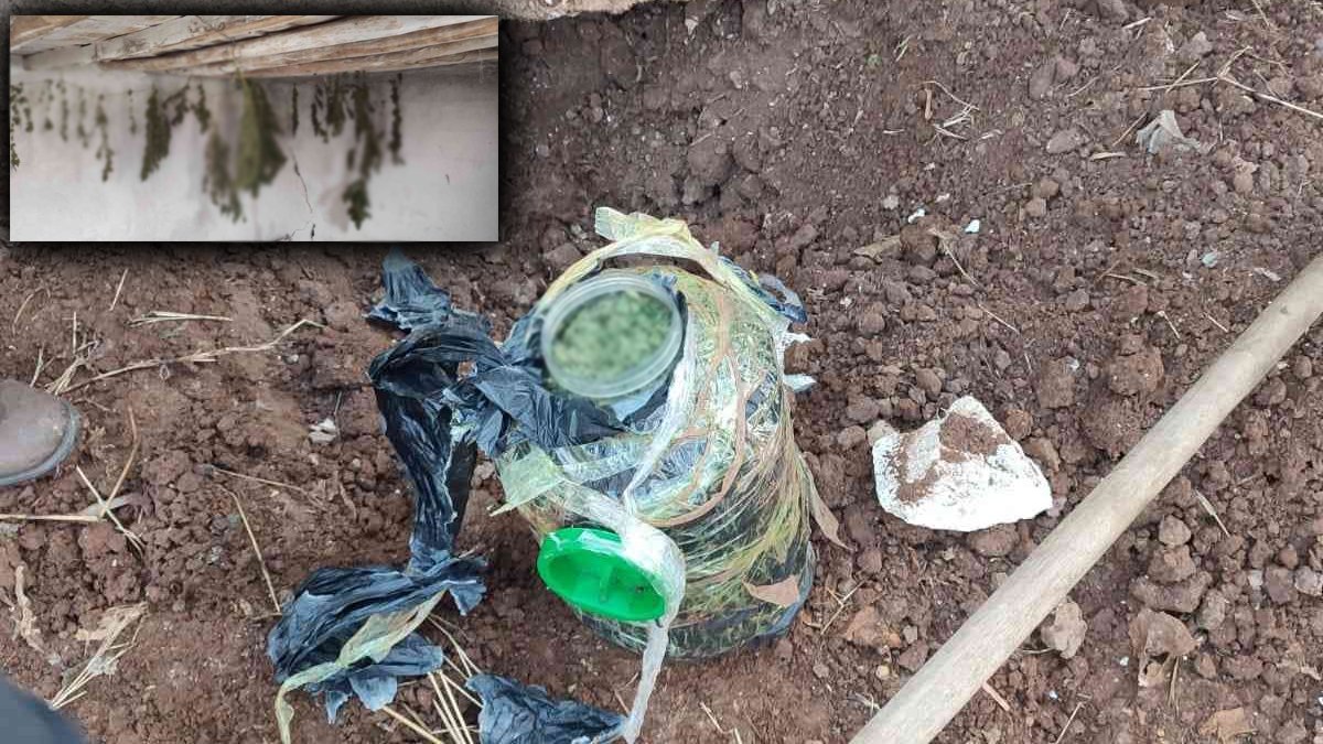 Zanlıların rahatlıkları pes dedirtti: Önce çamaşır asar gibi astılar sonra turşu bidonlarına bastılar