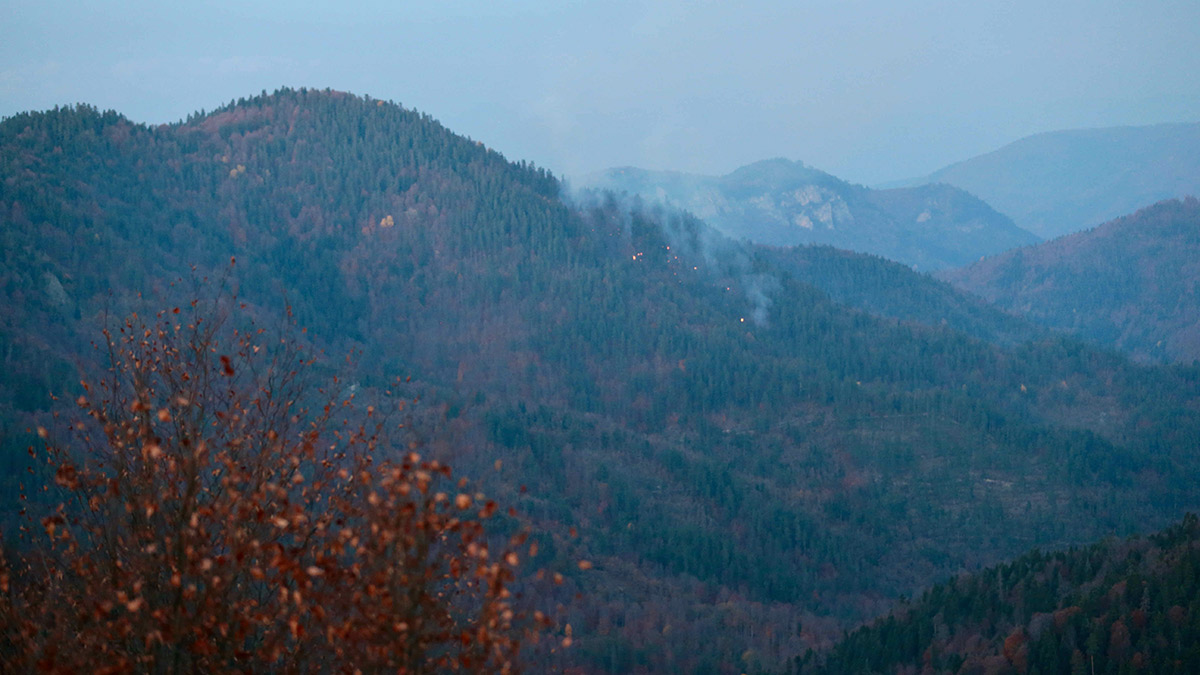 Yedigöller Milli Parkı'nda orman yangını