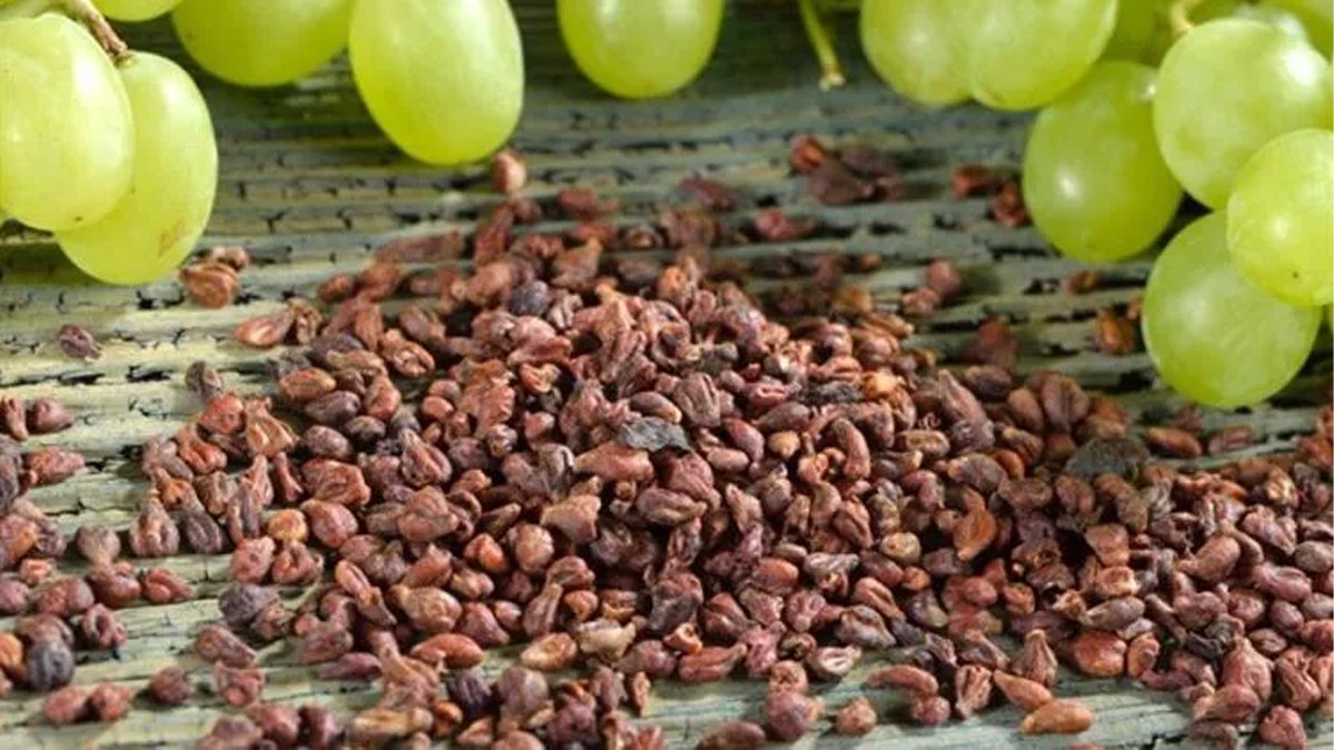 Üzümün çekirdeğini asla çöpe atmayın! Üzüm çekirdeğinden öyle bir şey yapılıyor ki küçük dilinizi yutacaksınız