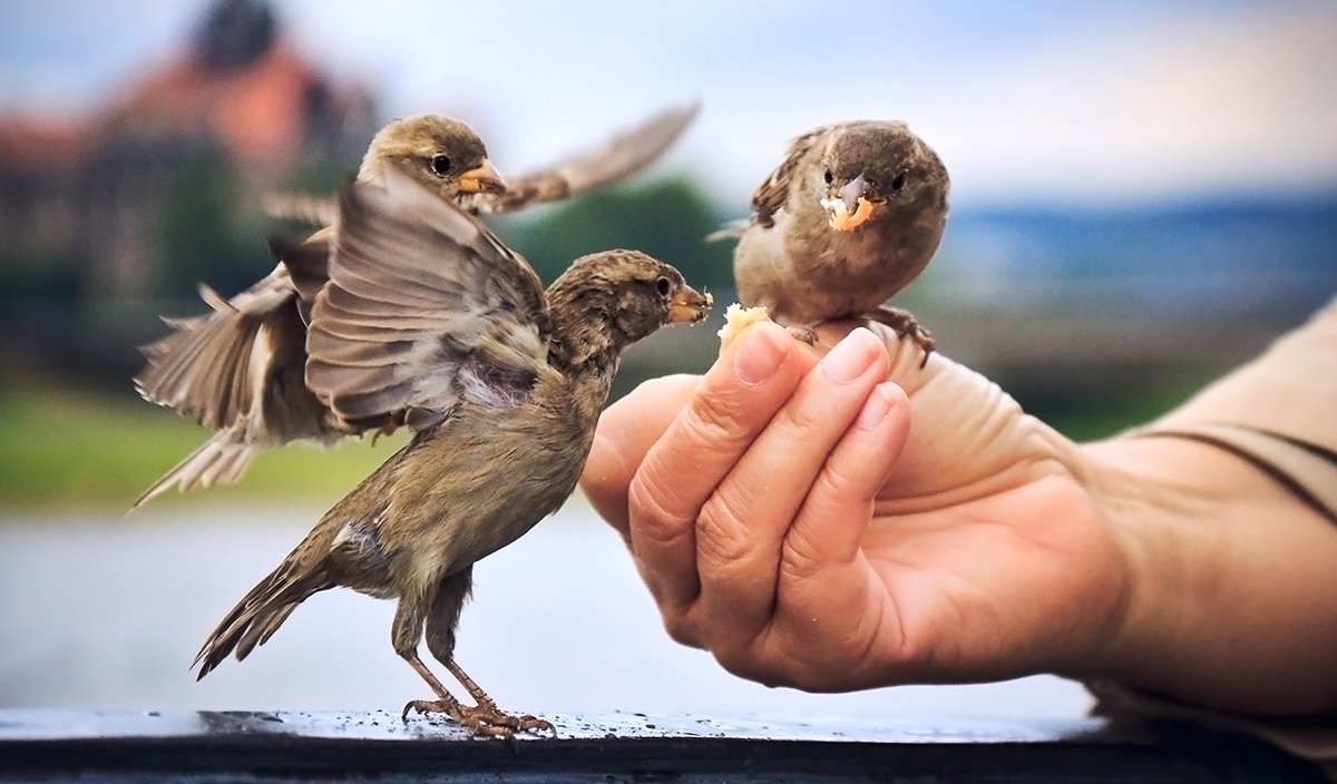 Onlar hayatınızdaysa sırtınız asla yere gelmez! En cömert ve özverili burçlar...