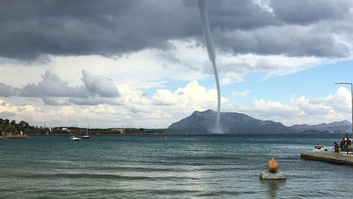 Datça'da korkutan manzara! Gören telefonuna sarıldı