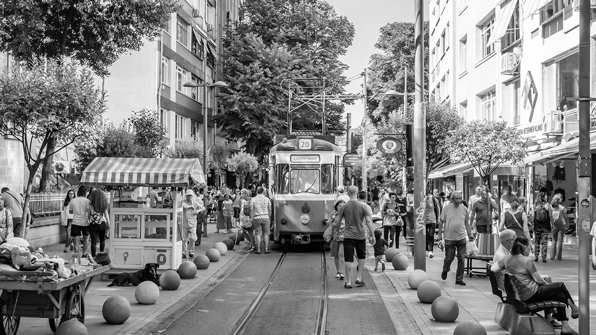 Hâşim’in Bahariye’deki  yalnızlığı ve Nâzım’ın  Mühürdar’dan vedâsı