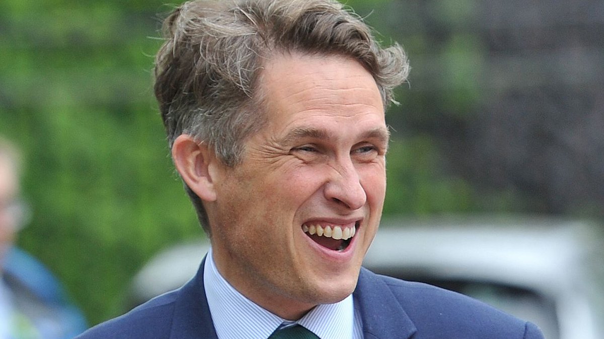 İngiltere'de Devlet Bakanı Williamson istifa etti